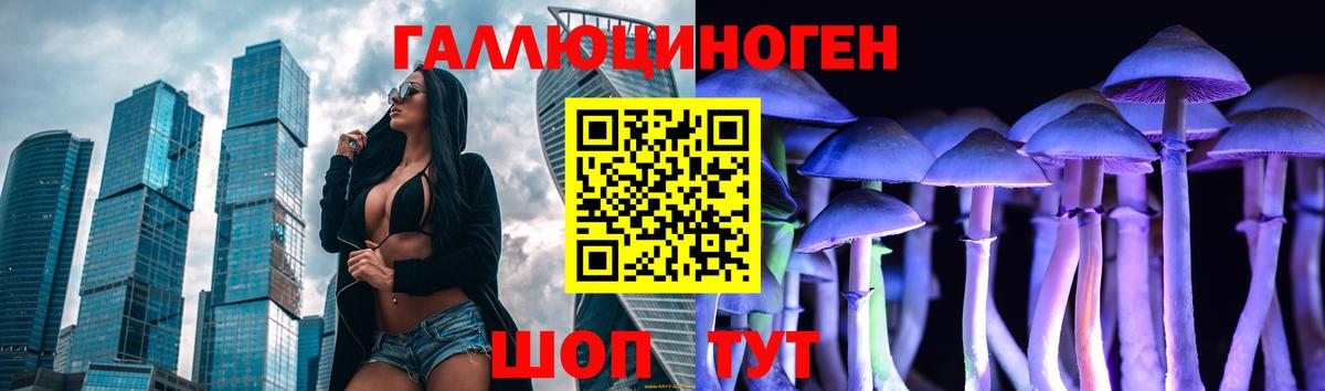 Псилоцибиновые грибы GOLDEN TEACHER Миллерово