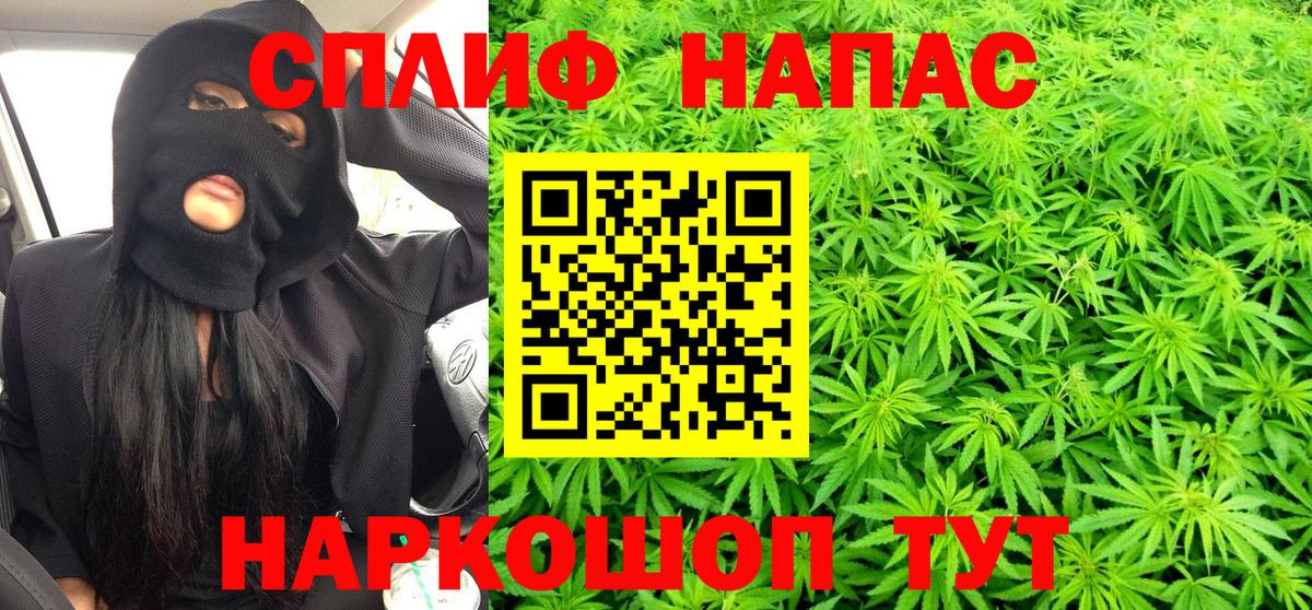 Конопля конопля  Вход с VPN  Бошки марихуана конопля  Миллерово  Канабис планчик  Марихуана планчик 